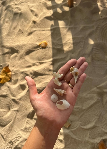 12 Coastal Grandma Hobbies That'll Have You Feeling Like Nancy Meyers Herself