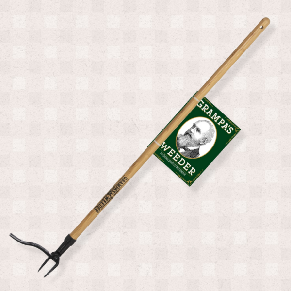 50+ Father's Day Gifts He'll Be Talking About Until Next Year