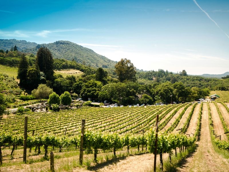 8 Road Trip Ideas That Are Way Cheaper Than Flying