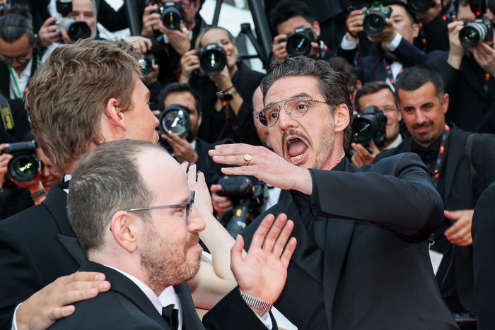 Bee Antagonizes Emma Stone on Red Carpet