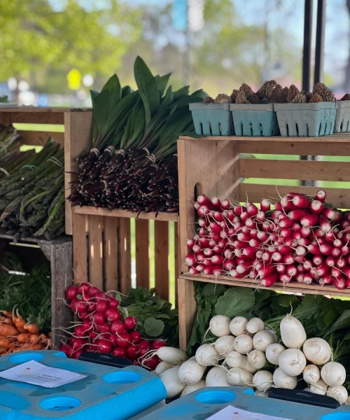 Ina Garten Is My Summer Icon—11 Ways I'm Channeling Her Vibe