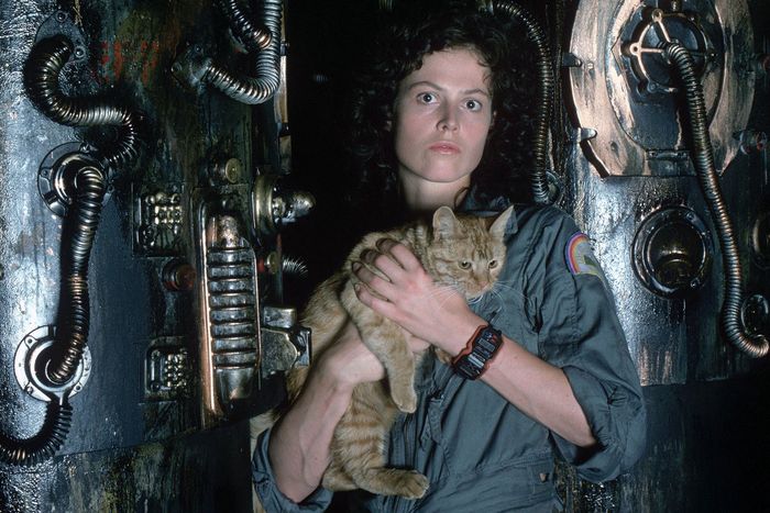 The 30 Best Sci-Fi Movies on Every Streaming Service