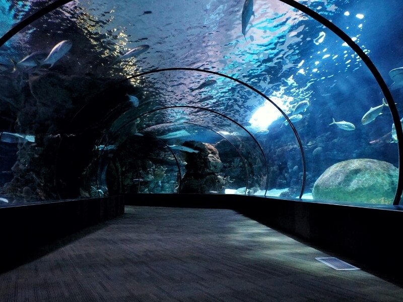 11 Nostalgic Trip Ideas That Will Bring Out Your Inner Child
