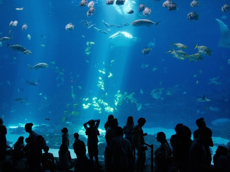 11 Nostalgic Trip Ideas That Will Bring Out Your Inner Child