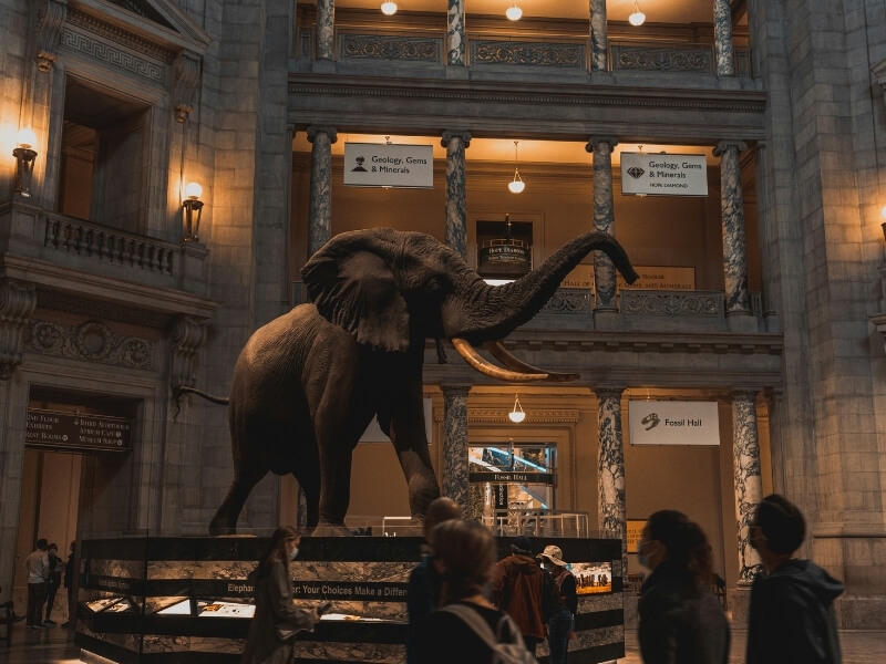 11 Nostalgic Trip Ideas That Will Bring Out Your Inner Child