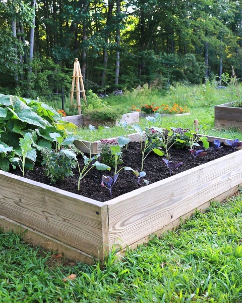 32 Completely Free Things to Do This Summer