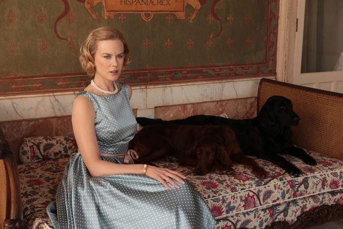 Nicole Kidman Wigs, Ranked