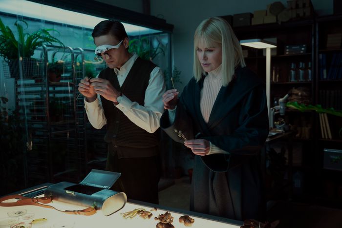 Nicole Kidman Wigs, Ranked
