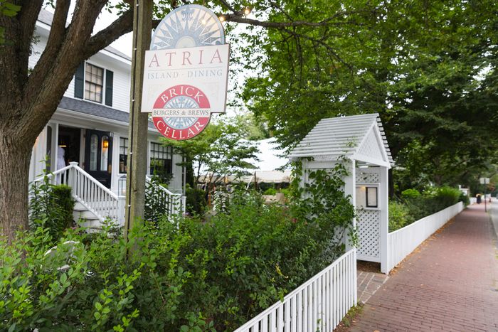 The Cut’s Martha’s Vineyard Soirée With Aramis Fragrances