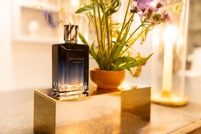 The Cut’s Martha’s Vineyard Soirée With Aramis Fragrances