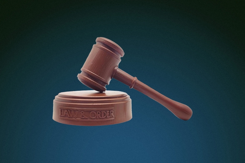 Vulture’s 2025 Holiday Gift Guide