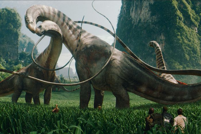 What Mikey Day Watches (and Reads) With His Son