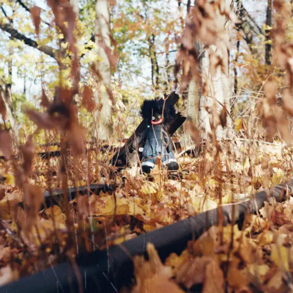 The Best Albums of 2025