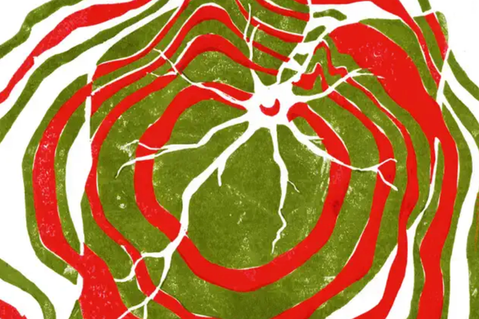 The Best Albums of 2025