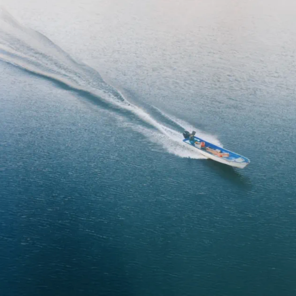 The Best Albums of 2025