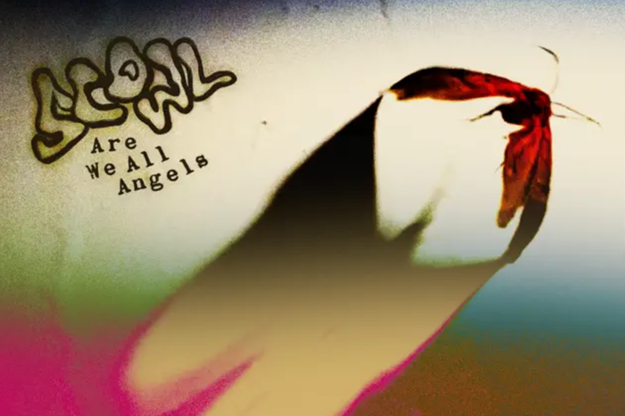 The Best Albums of 2025