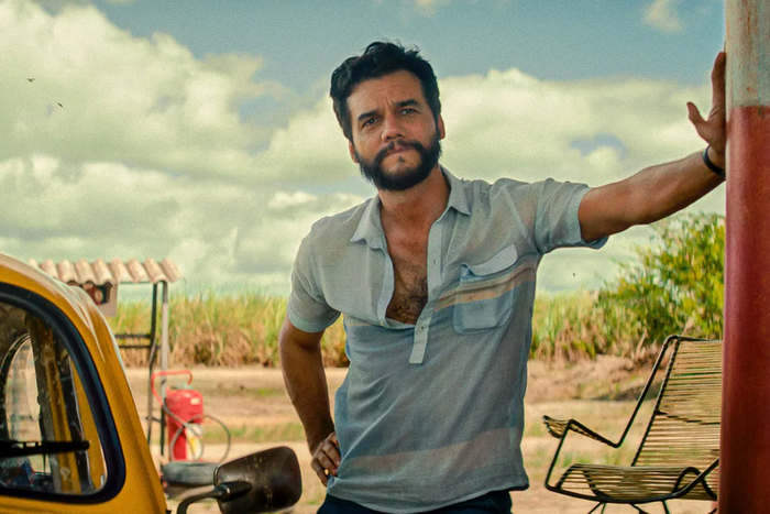 How to Watch All of This Year&rsquo;s Oscar Nominees