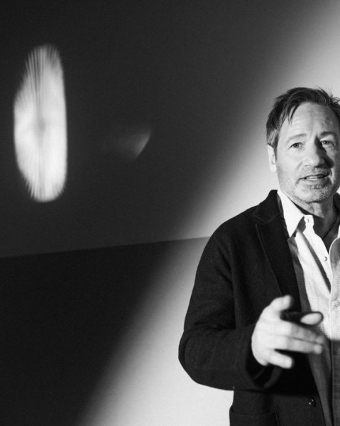 Lights Out, Park City