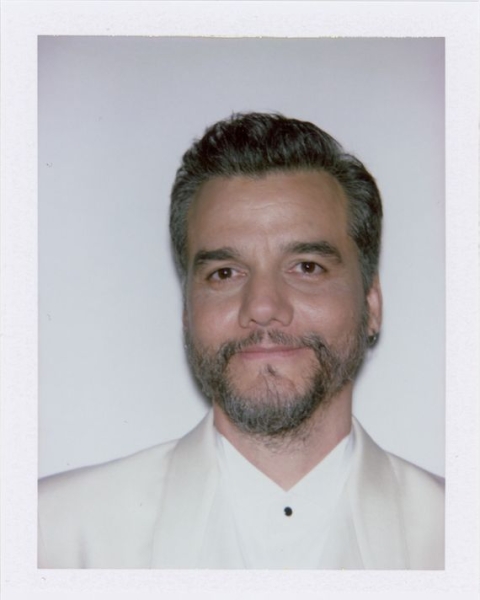 Moments of Glory at the 2026 Golden Globes