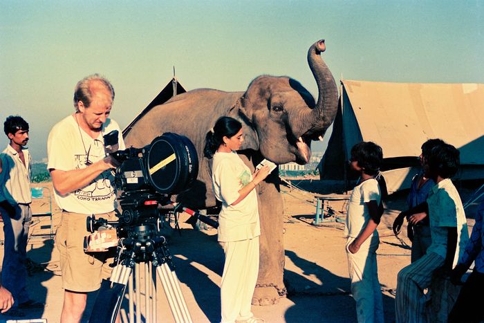 What Mira Nair Taught Zohran Mamdani